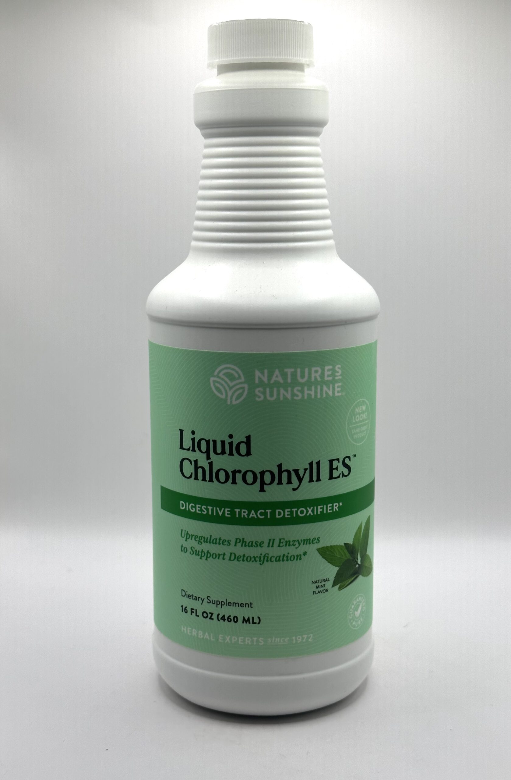 Nature's Sunshine Chlorophyll, ES Liquid 16 oz. G&W Herbs