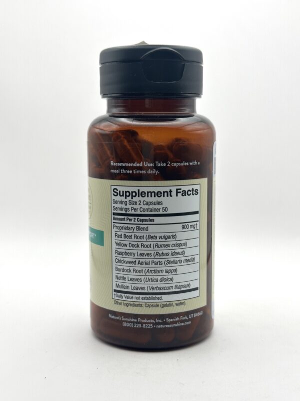 Nature's Sunshine - I-X - 100 Capsules - Image 2