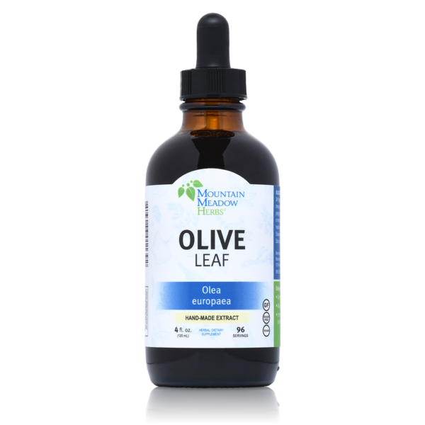Mountain Meadow Herbs - Olive Leaf Extract - 4 oz.