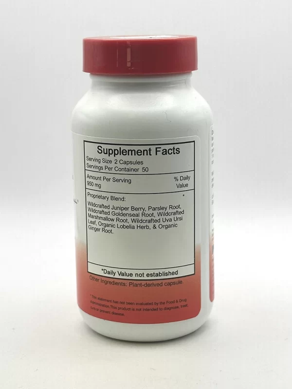 Wholistic Botanicals - Kidney Formula - 100 VegCaps - Image 2