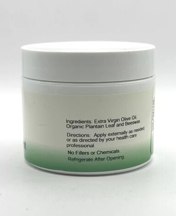 Wholistic Botanicals - Plantain Ointment - Image 2