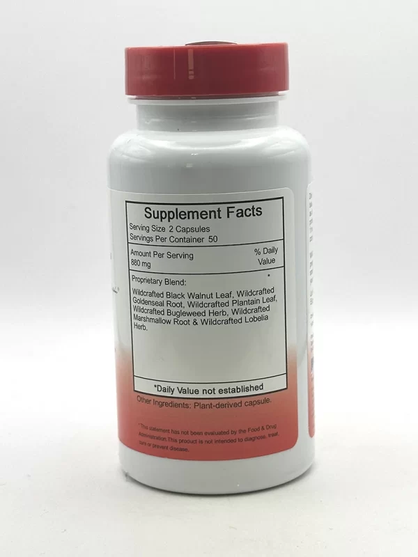 Wholistic Botanicals - I-INFX - 100 VegCaps - Image 2